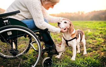 Dominium_Hickory Manor_Senior Pet-Friendly Community Lifestock Image_Amenity